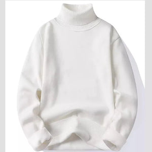mens roll neck sweater front view