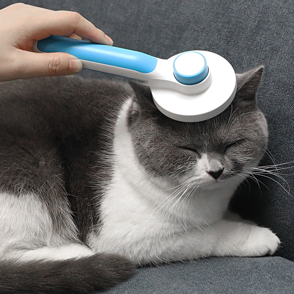 Best Cat Brush | Self Cleaning Cat Brush