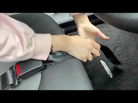 how to use seat belt during pregnancy 