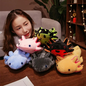 a cute young girl looking at a collection of 6 oxalots toy