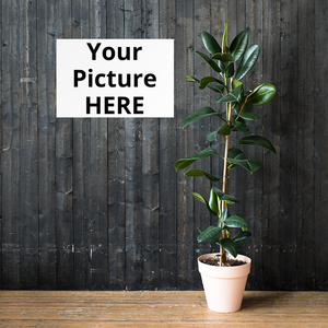 Poster Print On Demand