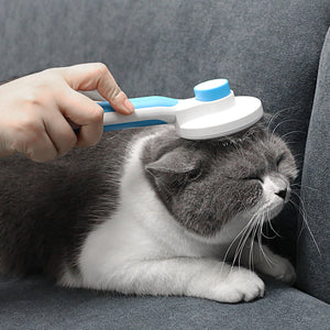 best cat brush