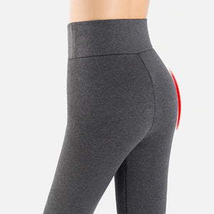 Winter Skinny Thick Velvet Wool Fleece Leggings, 2 Pcs Pack