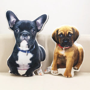 Pet Photo Customizable Cushions