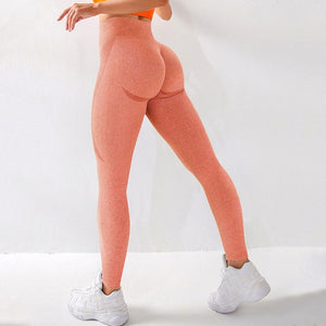 Women’s High Waist Seamless Leggings Ankle Yoga Pants Squat Proof