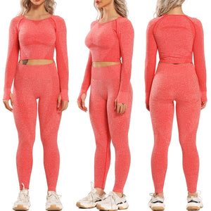 Seamless Yoga Set + 5-7 Day UPS Delivery