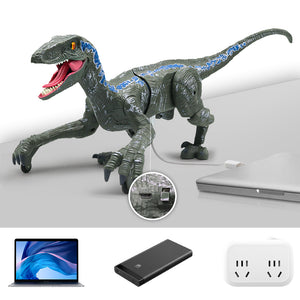 Remote Control Dinosaur